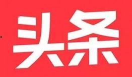 网红大logo 娱乐圈头条,揭秘娱乐圈最新热点与潮流风向标