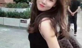 网红大鹅陈妍染 明星黑料网站视频,明星黑料网站视频背后的真相