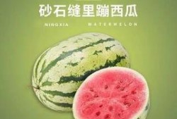 吃瓜网官网.网红吃瓜独家爆料反差,网红背后的惊人反差