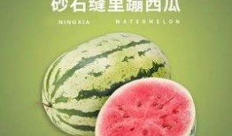 吃瓜网官网.网红吃瓜独家爆料反差,网红背后的惊人反差