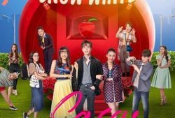 51今日大瓜,揭秘娱乐圈最新热点事件