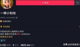 明星排行榜 抖音网红爆料网站大全,揭秘明星排行榜背后的秘密与风云