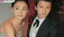 明星视频在线观看