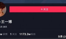 明星排行榜 抖音网红爆料网站大全,揭秘明星排行榜背后的秘密与风云