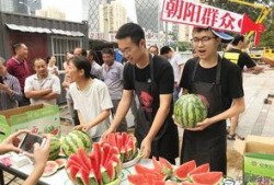 朝阳吃瓜群众,揭秘都市生活百态